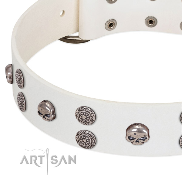 Soft to touch full grain leather dog collar with stylish adornments