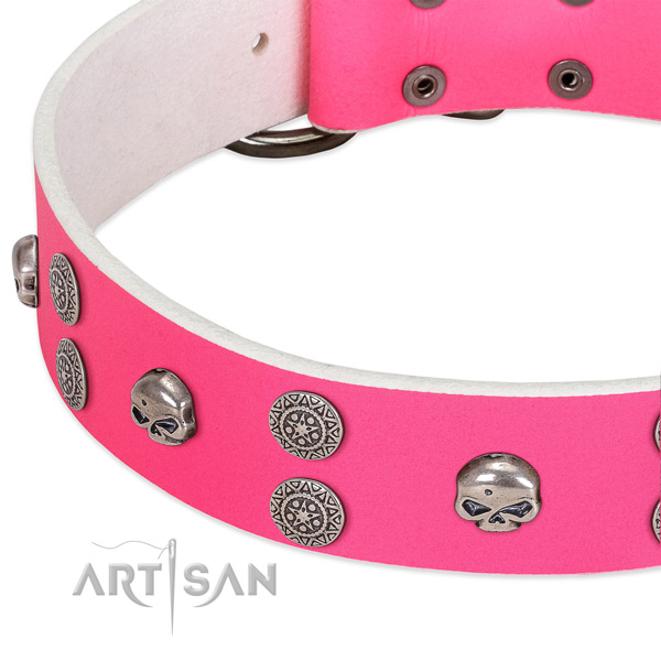 Flexible full grain natural leather dog collar with exceptional studs