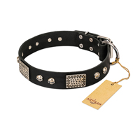 "Pirates Gold" FDT Artisan Black Leather Doberman Collar with Old Silver Look Plates and Skulls "Pirates Gold" FDT Artisan Black Leather Doberman Collar with Old Silver Look Plates and Skulls