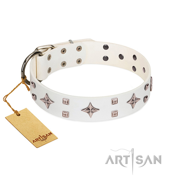 Impressive full grain leather collar for your pet stylish walking