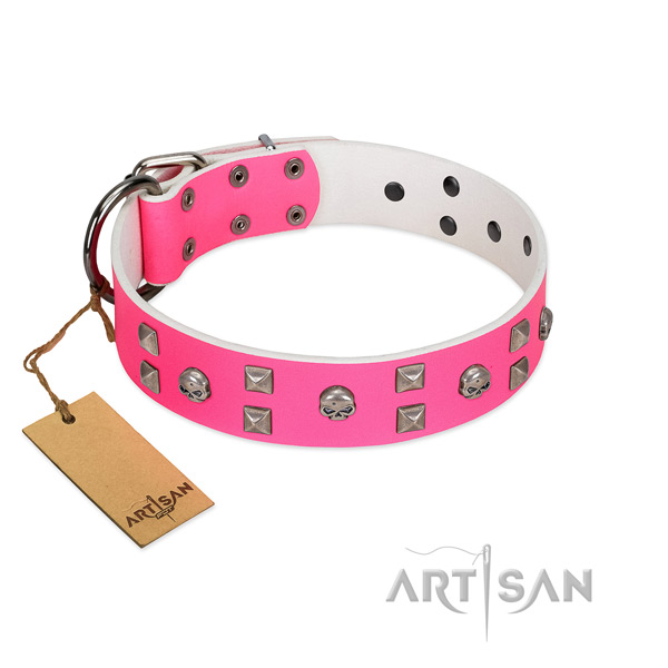 Incredible genuine leather dog collar with adornments