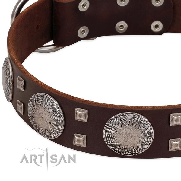 Everyday walking genuine leather dog collar