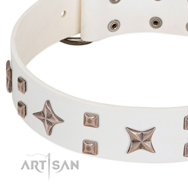 Corrosion resistant hardware on full grain leather collar for everyday walking your four-legged friend