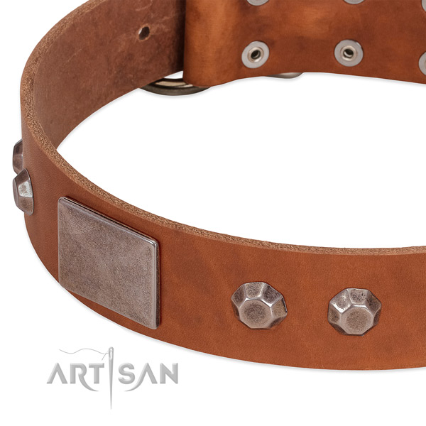 Everyday use flexible full grain natural leather dog collar