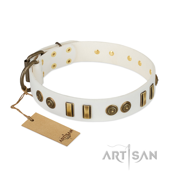 Corrosion resistant studs on leather dog collar for your canine