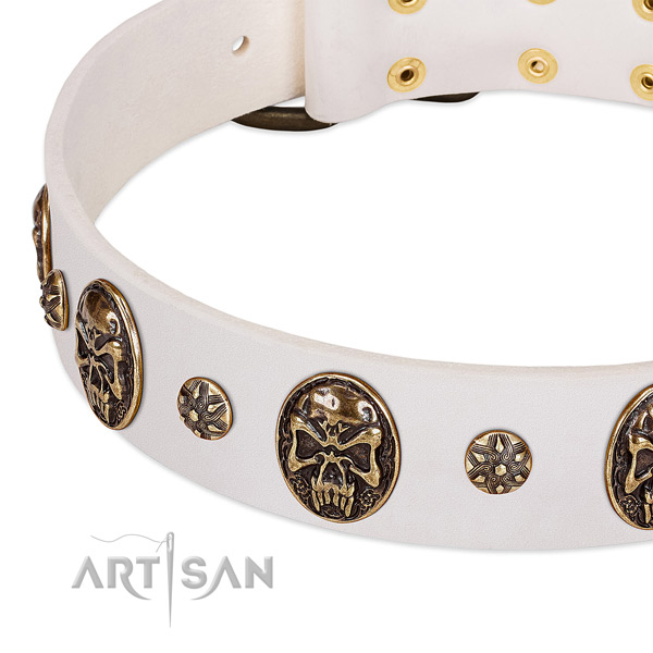 Corrosion proof adornments on full grain genuine leather dog collar for your dog