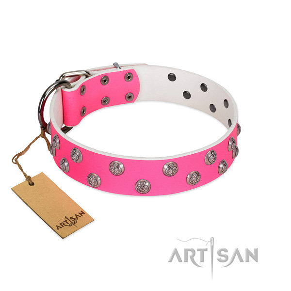 Stylish genuine leather dog collar with rust resistant fittings