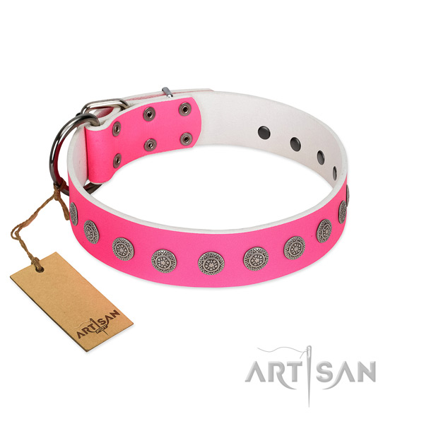 Top notch adornments on natural leather collar for everyday use your dog