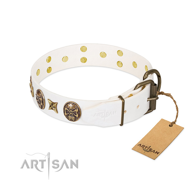 Durable fittings on full grain leather collar for everyday walking your doggie