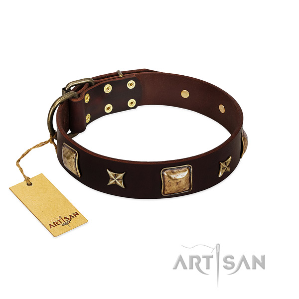Unusual natural genuine leather collar for your canine