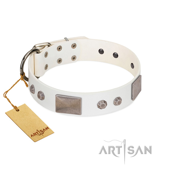 Handcrafted leather collar for your stylish four-legged friend