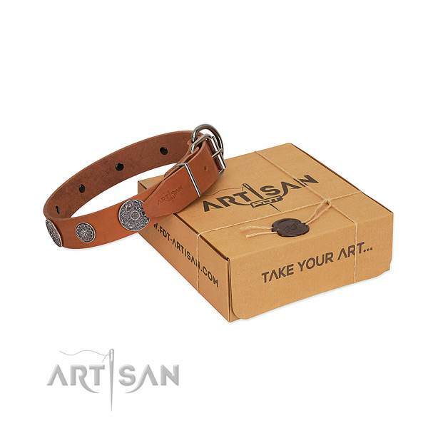 Amazing dog collar of full grain leather