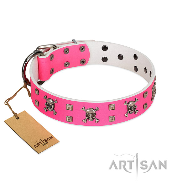 Significant genuine leather collar for your attractive dog