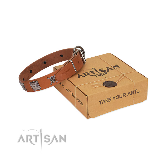 Stunning collar of natural leather for your four-legged friend