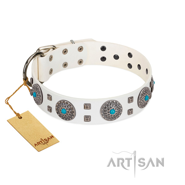 Everyday walking leather dog collar with awesome adornments