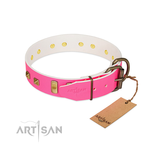 Full grain natural leather dog collar with rust-proof studs