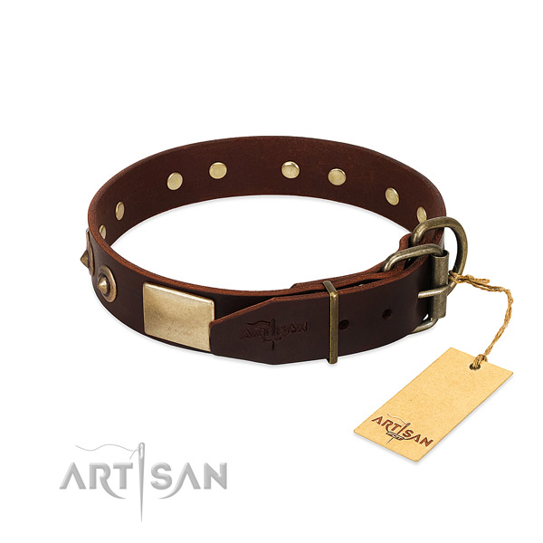 Rust resistant embellishments on everyday use dog collar