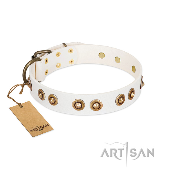 Convenient genuine leather collar for your pet