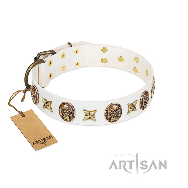 Exceptional leather dog collar for fancy walking