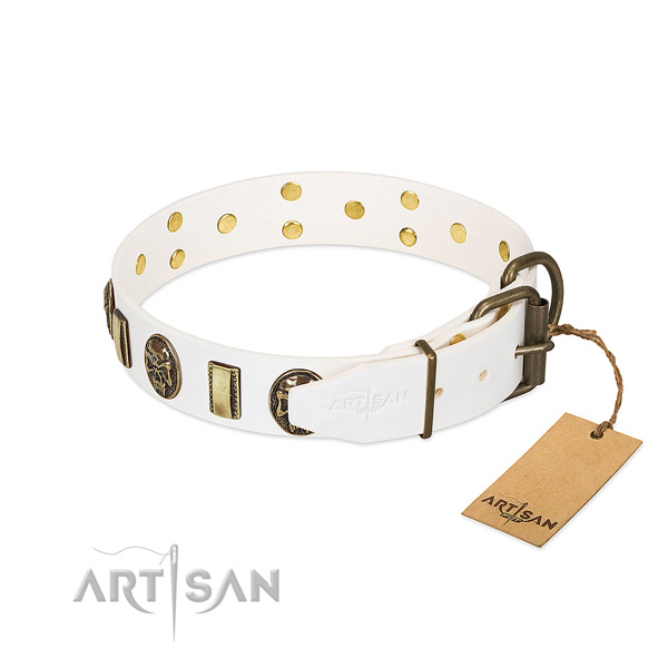 Rust resistant D-ring on full grain leather collar for fancy walking your dog