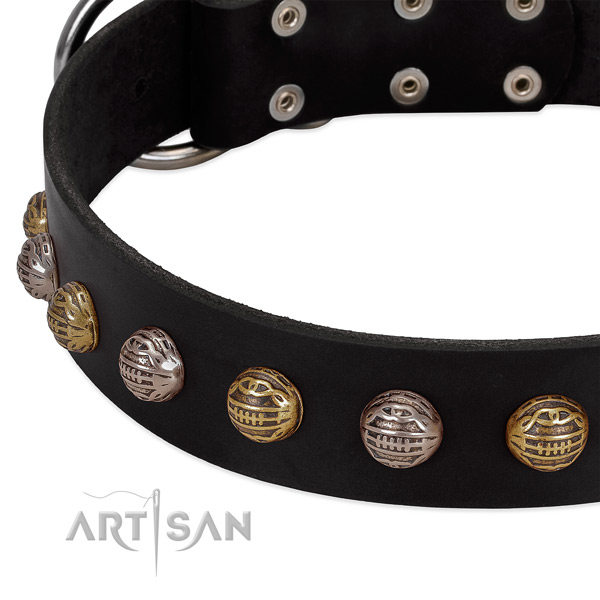 Leather dog collar with rust-proof fittings and adornments