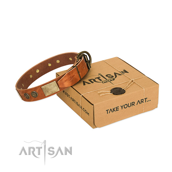 Durable traditional buckle on full grain genuine leather dog collar for everyday walking