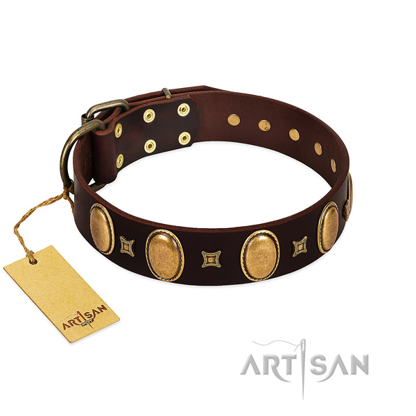 Full grain leather dog collar with exceptional decorations for everyday walking