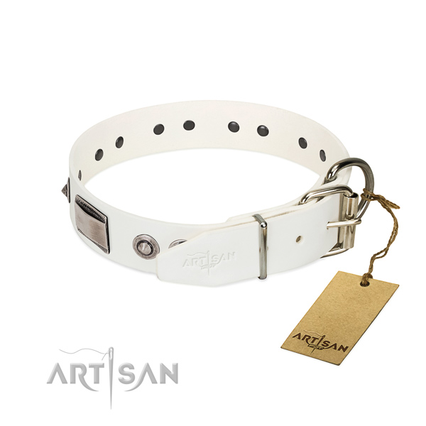 Handmade dog collar of natural leather with adornments