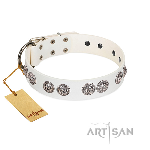 Awesome full grain natural leather collar for your four-legged friend walking in style