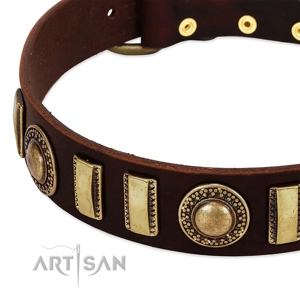 Best quality full grain leather dog collar with rust resistant fittings