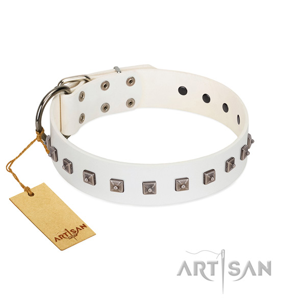 Inimitable embellished leather dog collar