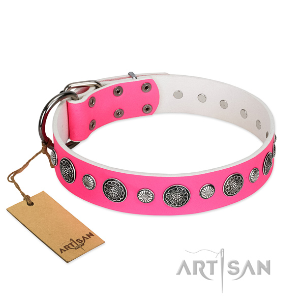 Strong full grain leather dog collar with rust resistant hardware