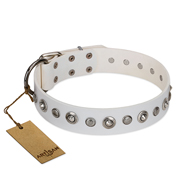 "Infinite Purity" White FDT Artisan Leather Doberman Collar with Elegant Decorations "Infinite Purity" White FDT Artisan Leather Doberman Collar with Elegant Decorations
