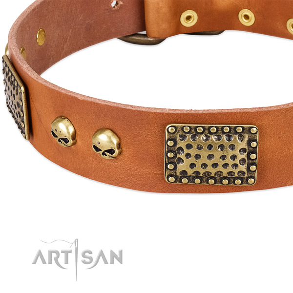 Durable buckle on leather dog collar for your canine