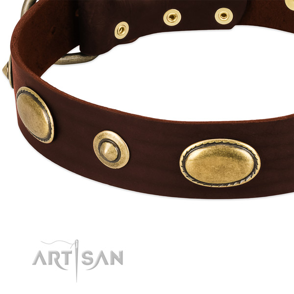 Durable buckle on genuine leather dog collar for your canine