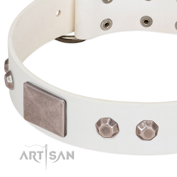 Daily walking flexible leather dog collar with studs