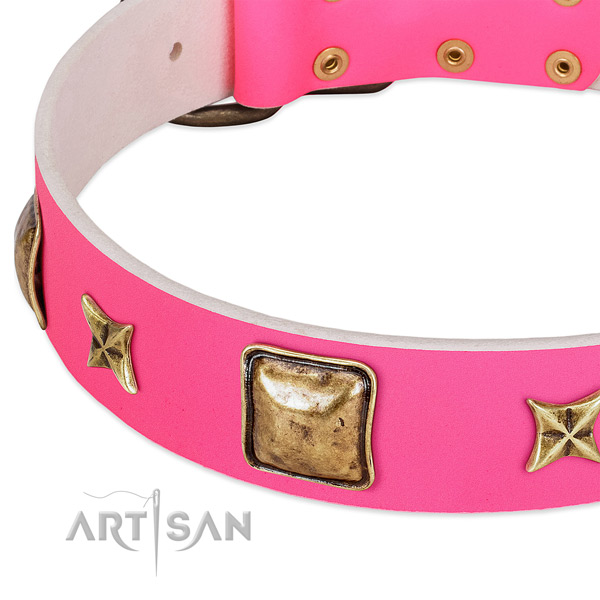 Genuine leather dog collar with awesome adornments