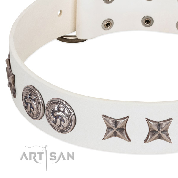 Full grain genuine leather collar with fashionable adornments for your pet