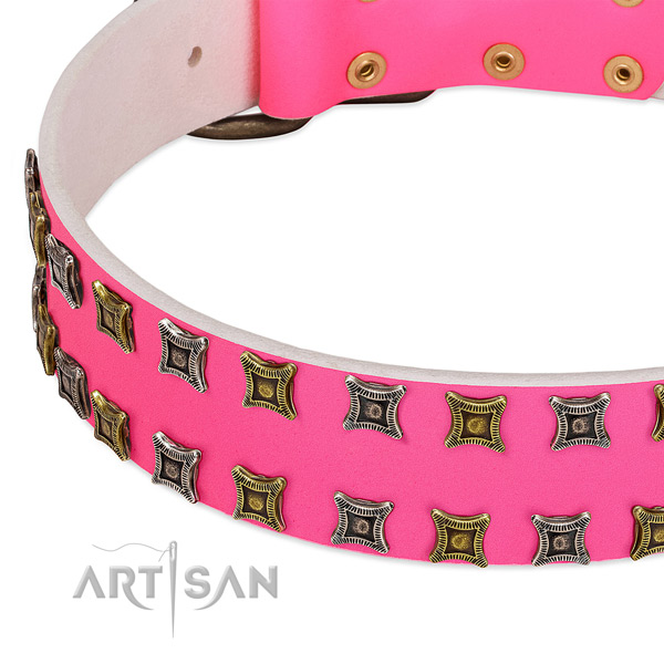 Natural leather dog collar with adornments for your impressive canine