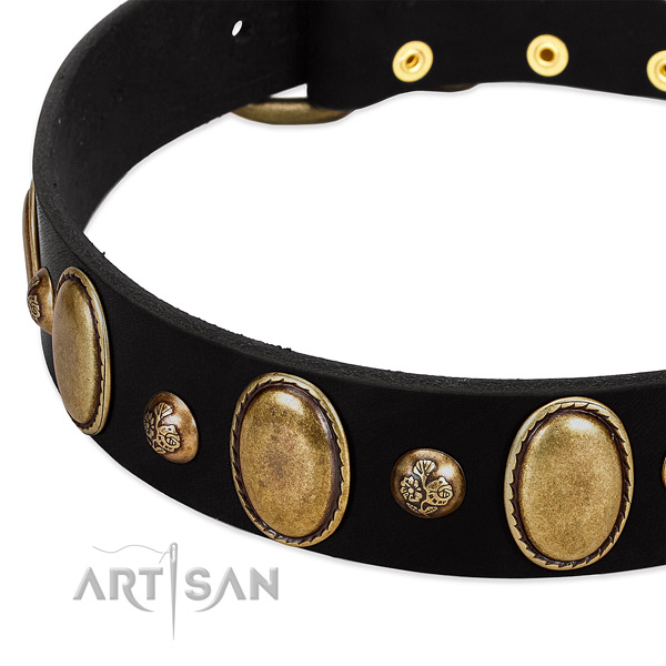 Leather dog collar with unusual studs