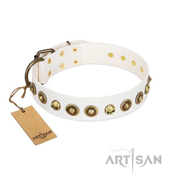 Full grain leather collar with exquisite embellishments for your pet