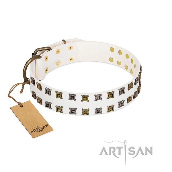 High quality genuine leather dog collar with embellishments for your dog