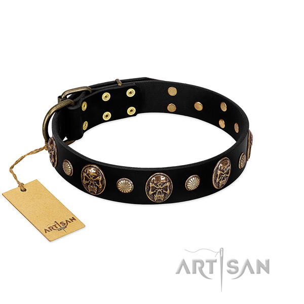 Full grain genuine leather dog collar with reliable studs