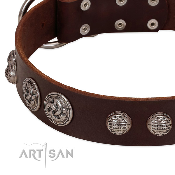 Corrosion resistant traditional buckle on full grain genuine leather collar for stylish walking your four-legged friend