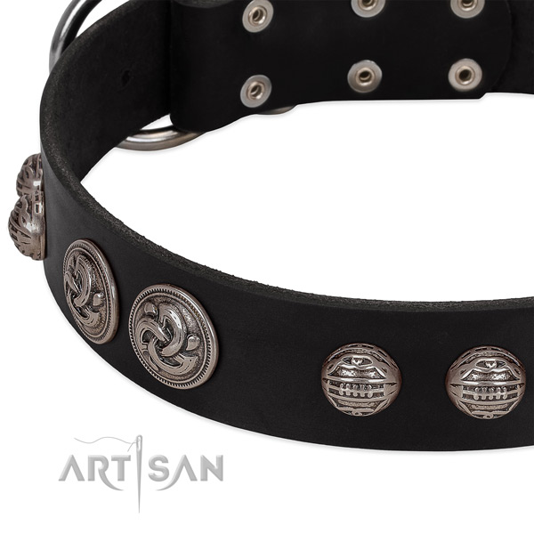 Rust resistant fittings on full grain natural leather collar for basic training your pet