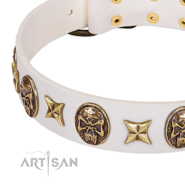 Unique dog collar handmade for your stylish pet