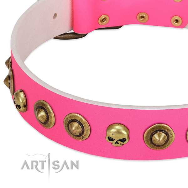 Significant embellishments on leather collar for your pet