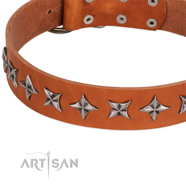 Comfortable wearing decorated dog collar of fine quality full grain genuine leather