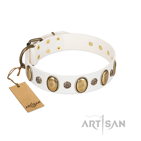 Everyday walking quality natural genuine leather dog collar with adornments