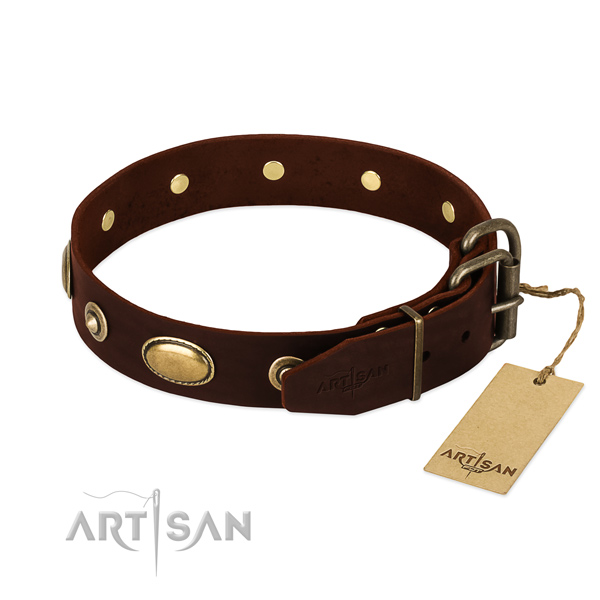 Reliable adornments on full grain genuine leather dog collar for your doggie